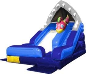 shark water slide amazon